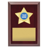 Star Plaque - Gold