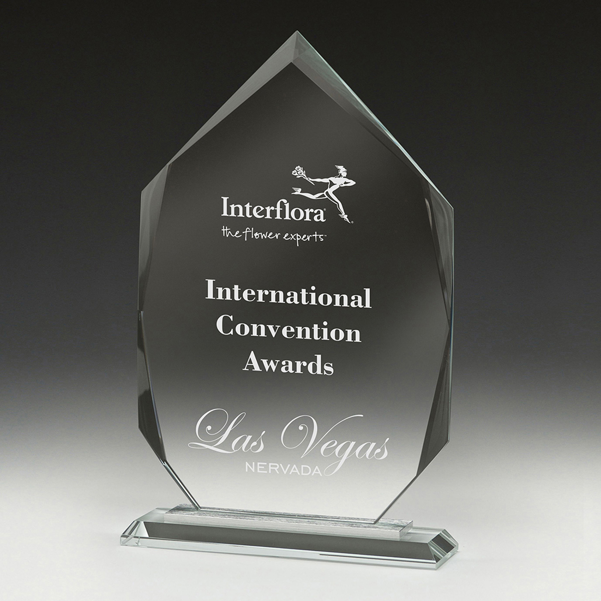 Integrity Arrowhead