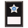 Star Plaque - Silver
