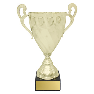 Fidelity Cup - Gold