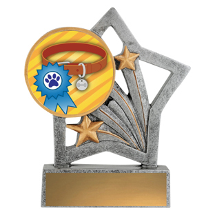 Flash - Ribbon & Collar