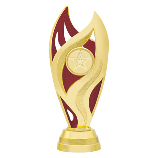 Vision Cup - Gold / Red