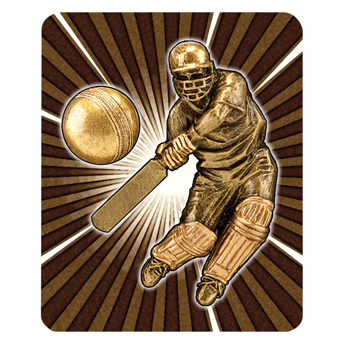 Cricket Batsman