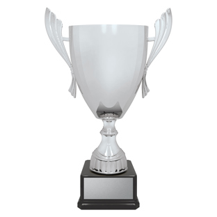 Ironside Cup - Silver