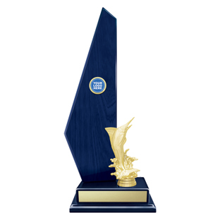 Blue Vintage Starboard