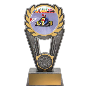 Go Kart Polaris - Colour