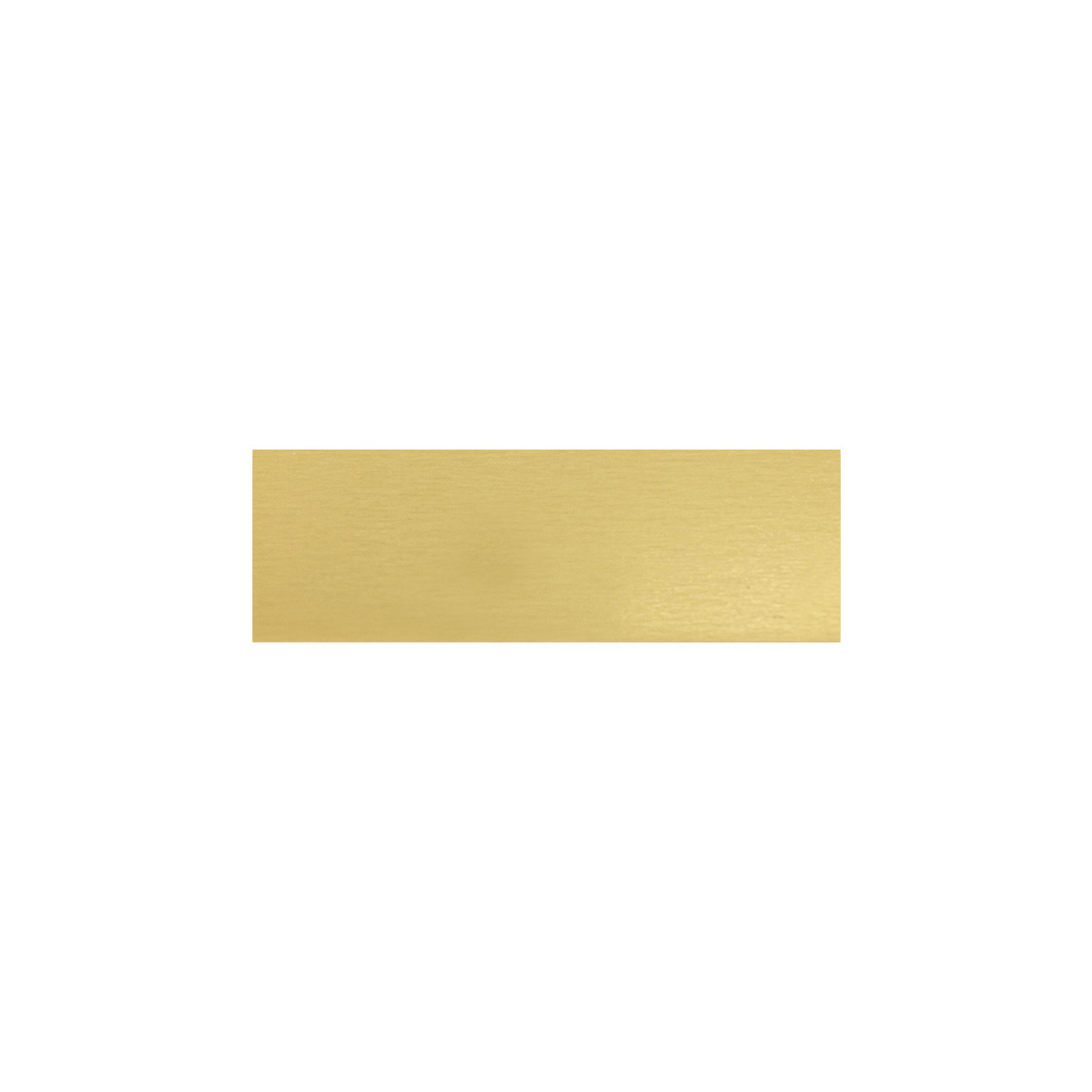 Trophy Plate - 46x15mm