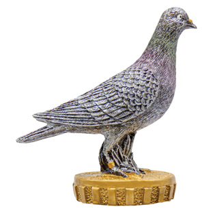 Pigeon Top