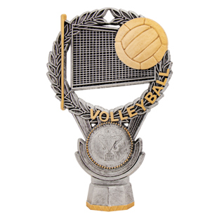 Volleyball Silver