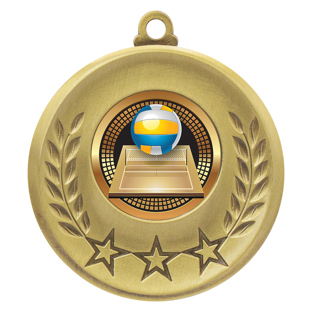 Laurel Medal - Volleyball