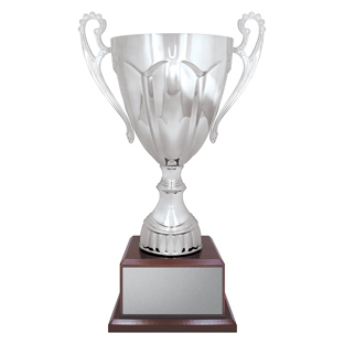 Silver Rubicon - Timber Base