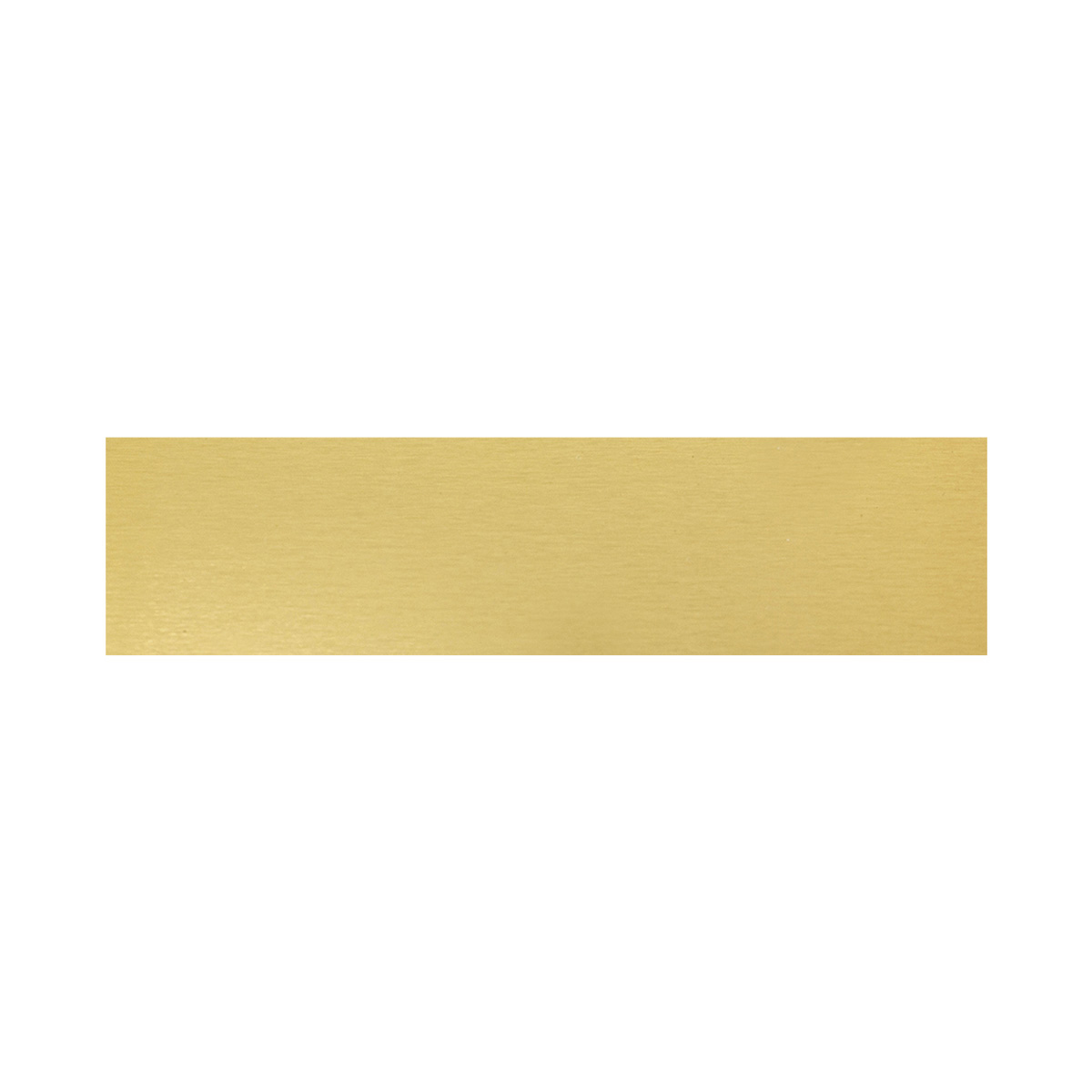 Trophy Plate - 69x17mm