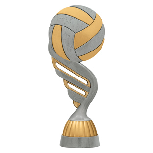 Volleyball Silver