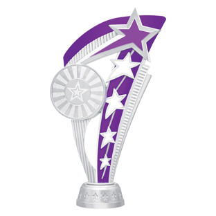 Echo Star - Silver / Purple