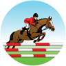 Show Jumping