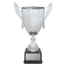Ironside Cup - Silver