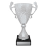 Silver Eternal Cups