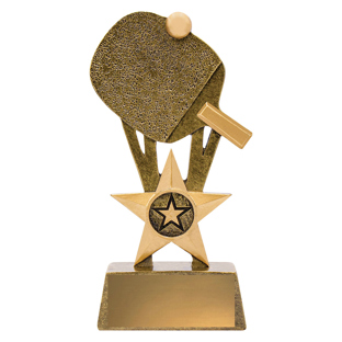 Table Tennis Pinnacle