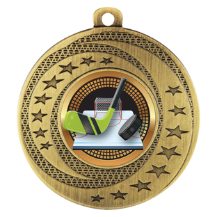Wayfare Medal - Ice Hockey