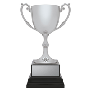 Ace Recognition Silver