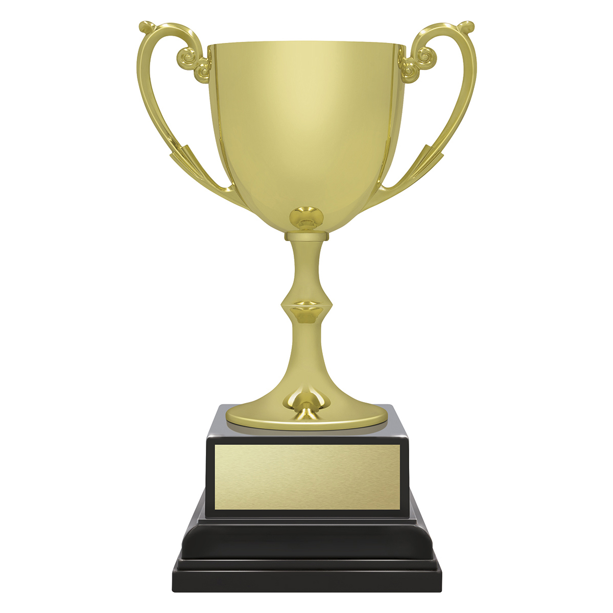 Ace Recognition Gold