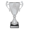 Silver Eternal Cups