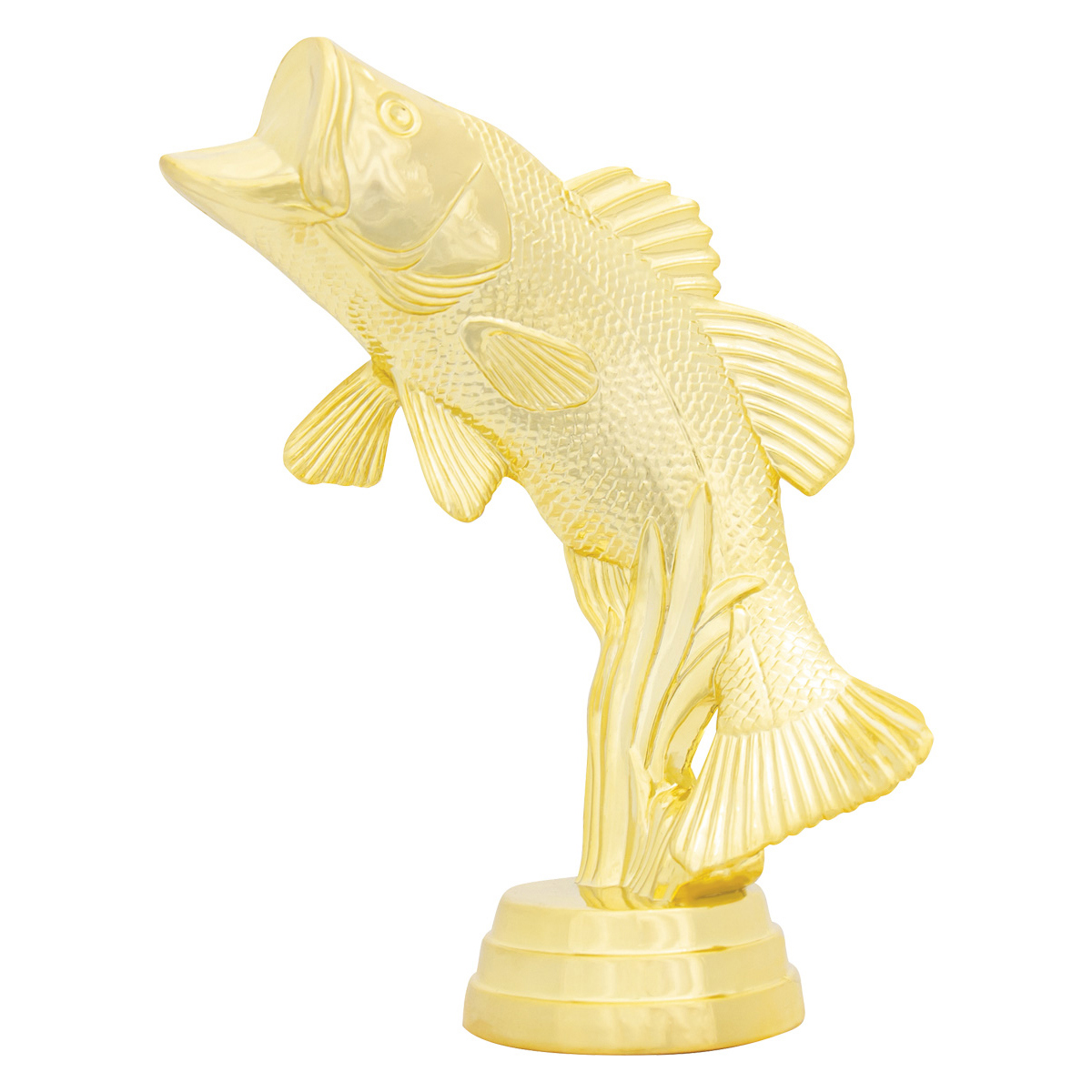 Bass