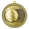 Venture Medal Volleyball