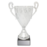 Fidelity Cup - Silver