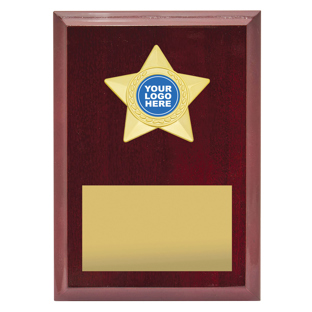 Star Plaque - Gold