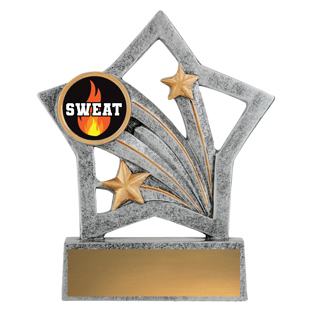 Flash - Sweat Training