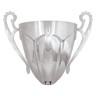 Rubicon Cup Silver