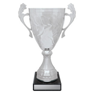 Silver Eternal Cups