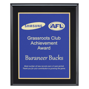 Designer Blue Plaque