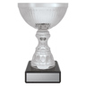 Reverie Cup - Silver