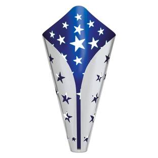 Galaxy Cup - Silver / Blue