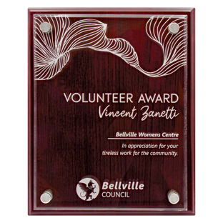 Value Plaque with Acrylic