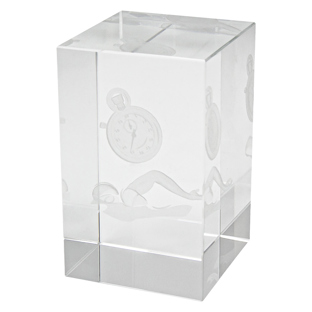 Swim Crystal Block Award