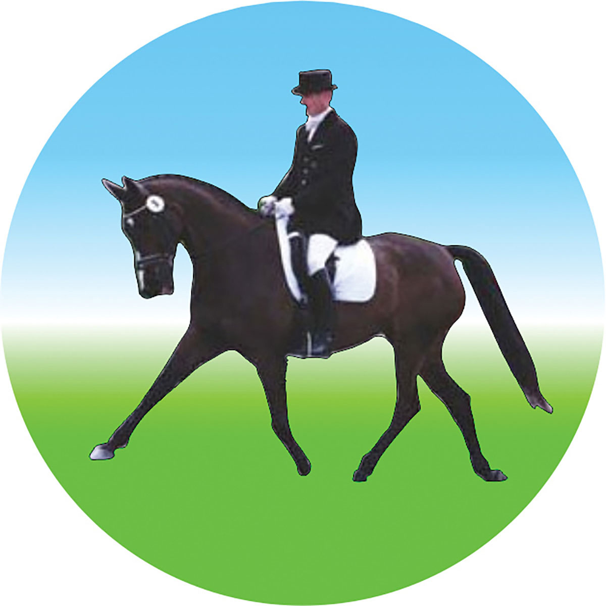 Dressage