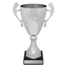Silver Eternal Cups