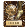 Futsal