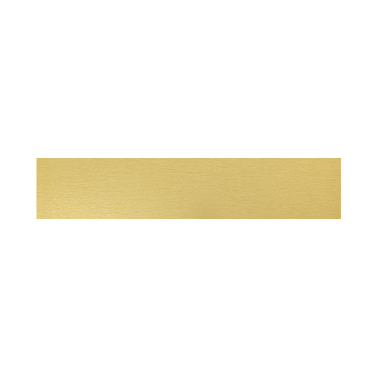 Trophy Plate - 69x14mm