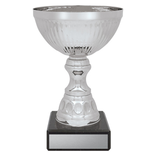 Reverie Cup - Silver