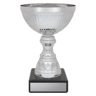 Reverie Cup - Silver