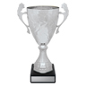 Silver Eternal Cups