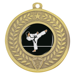 Distinction - Karate