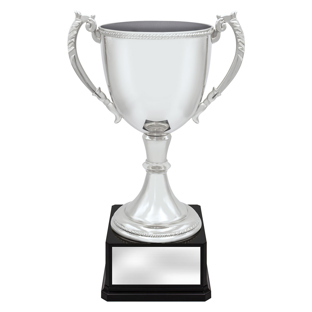 Ultimate Silver Cup