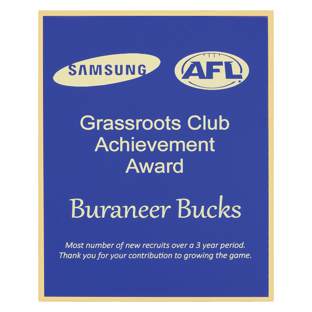 Designer Plate - Blue