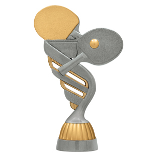 Table Tennis Silver